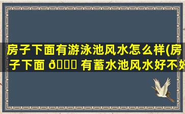 房子下面有游泳池风水怎么样(房子下面 🕊 有蓄水池风水好不好)